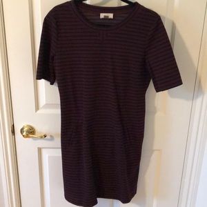 LOFT wine/ black stripe stretchy texture dress